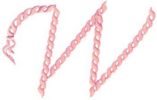 Picture of Rope Alphabet W Machine Embroidery Design