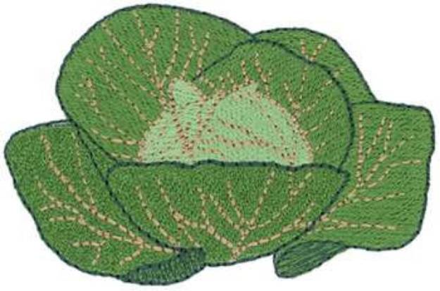 Picture of Head Of Cabbage Machine Embroidery Design