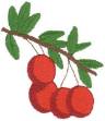 Picture of Cranberries Machine Embroidery Design