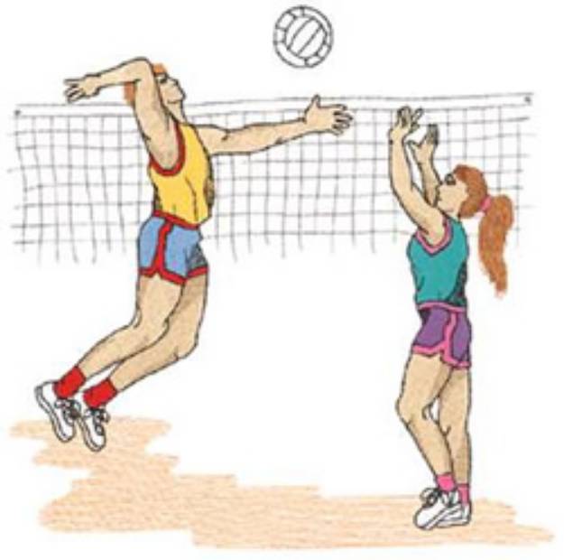 Picture of Co-ed  Volleyball Machine Embroidery Design