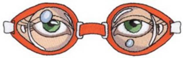 Picture of Swimming Goggles Machine Embroidery Design