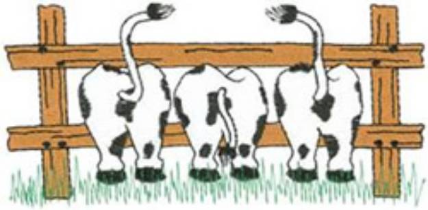 Picture of Cow Behinds Machine Embroidery Design