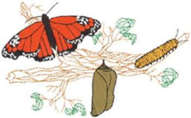 Picture of Metamorphosis Machine Embroidery Design