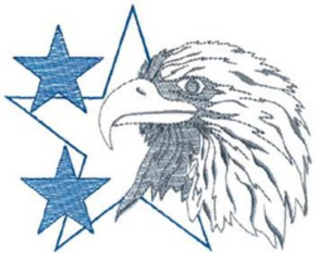 Picture of Patriot Eagle Machine Embroidery Design