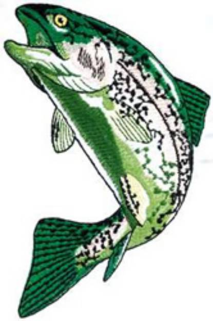 Picture of Trout Machine Embroidery Design