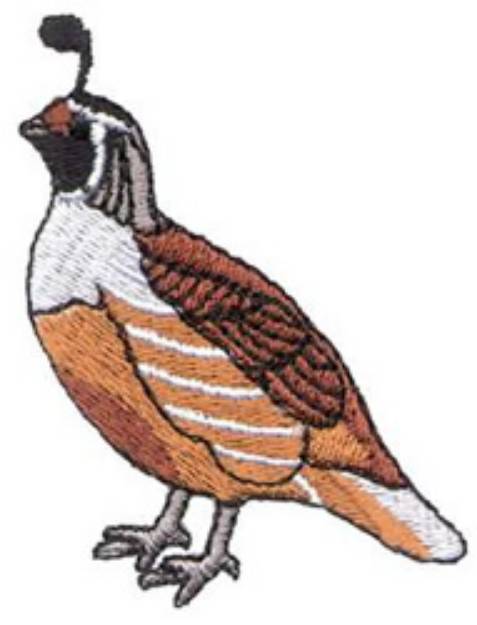 Picture of Valley Quail Machine Embroidery Design