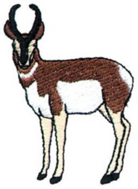 Picture of Pronghorn Machine Embroidery Design
