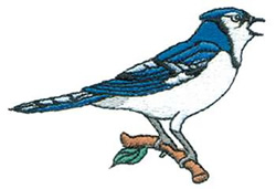 Blue Jay Machine Embroidery Design