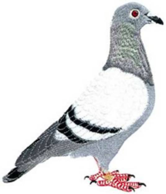 Picture of Pigeon Machine Embroidery Design