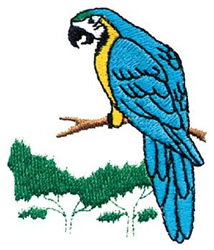 Macaw Machine Embroidery Design