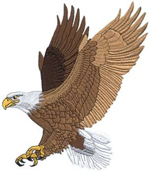 Eagle Machine Embroidery Design