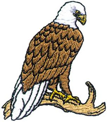 Sm. Eagle Machine Embroidery Design