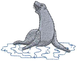 Seal Machine Embroidery Design
