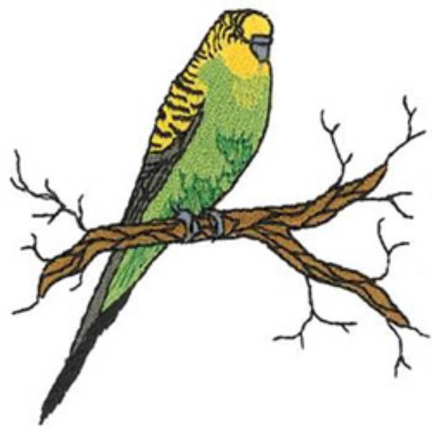 Picture of Parakeet Machine Embroidery Design