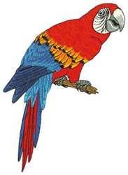 Parrot Machine Embroidery Design