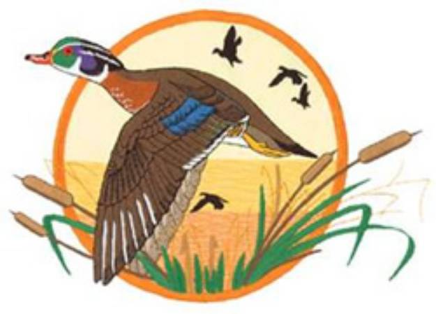 Picture of Wood Duck Applique Machine Embroidery Design
