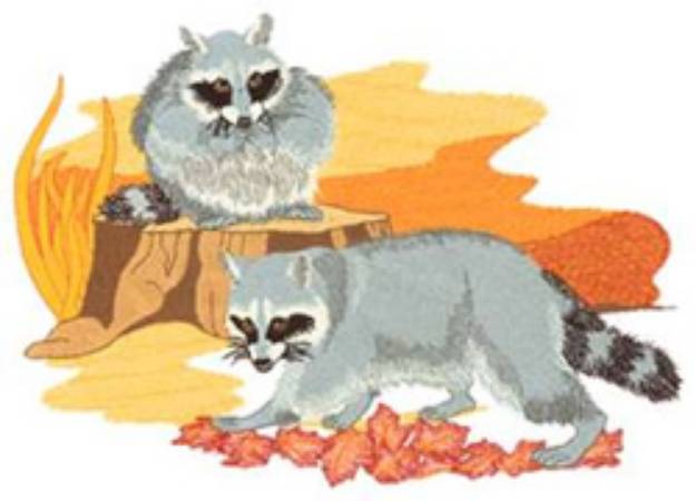 Picture of Raccoons Machine Embroidery Design