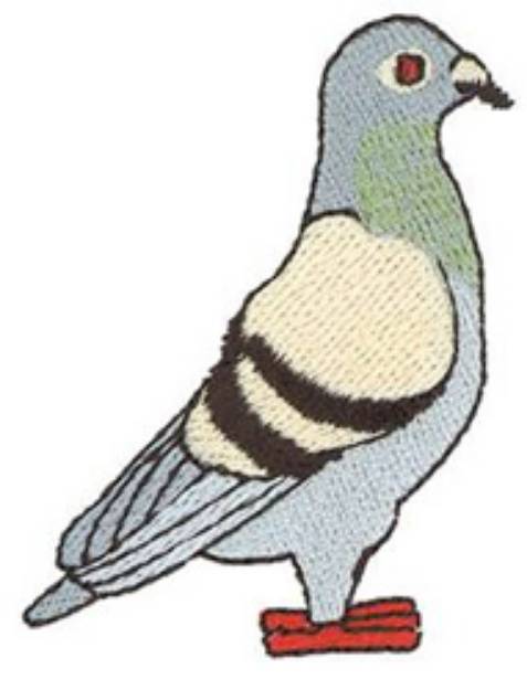 Picture of Small Pigeon Machine Embroidery Design