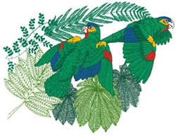 Amazon Parrots Machine Embroidery Design