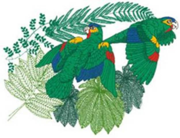 Picture of Amazon Parrots Machine Embroidery Design