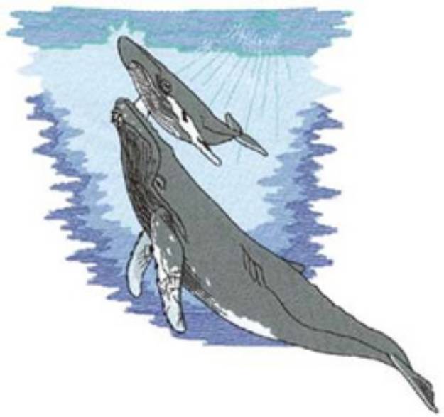 Picture of Humpback With Calf Machine Embroidery Design