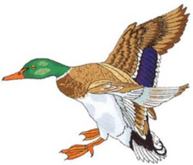 Picture of Flying Mallard Machine Embroidery Design