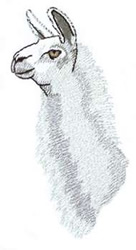 Llama Head Machine Embroidery Design
