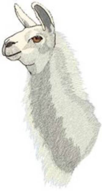 Picture of Large Llama Head Machine Embroidery Design