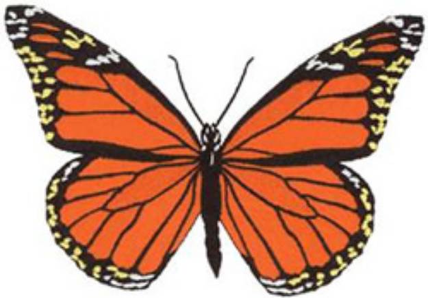 Picture of Monarch Butterfly Machine Embroidery Design