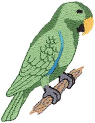 Eclectus Parrot Machine Embroidery Design
