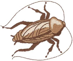 Cockroach Machine Embroidery Design