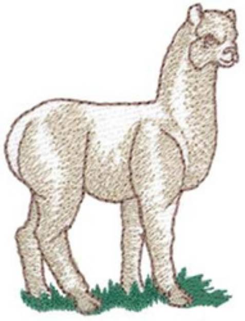Picture of Huacaya Alpaca Machine Embroidery Design