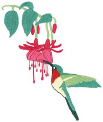 Hummingbird & Fushia Machine Embroidery Design
