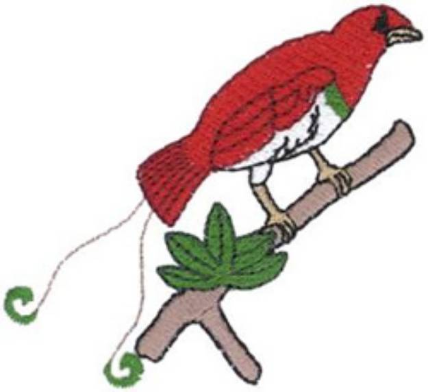 Picture of King Bird Of Paradise Machine Embroidery Design