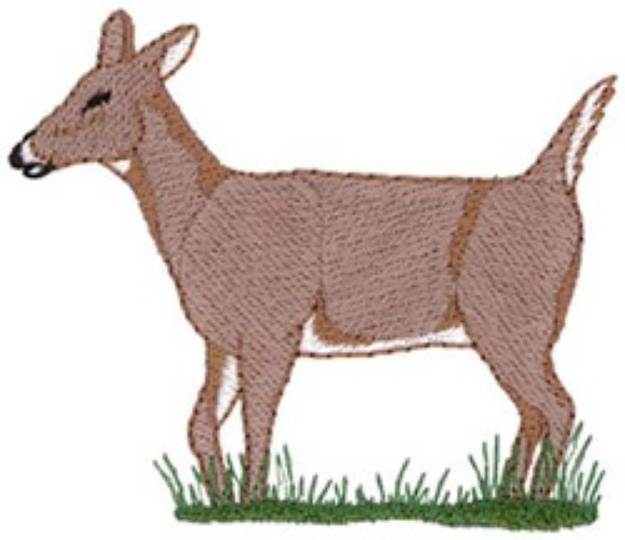 Picture of Whitetail Doe Machine Embroidery Design