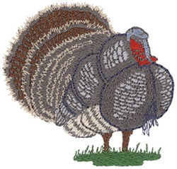 Turkey Machine Embroidery Design