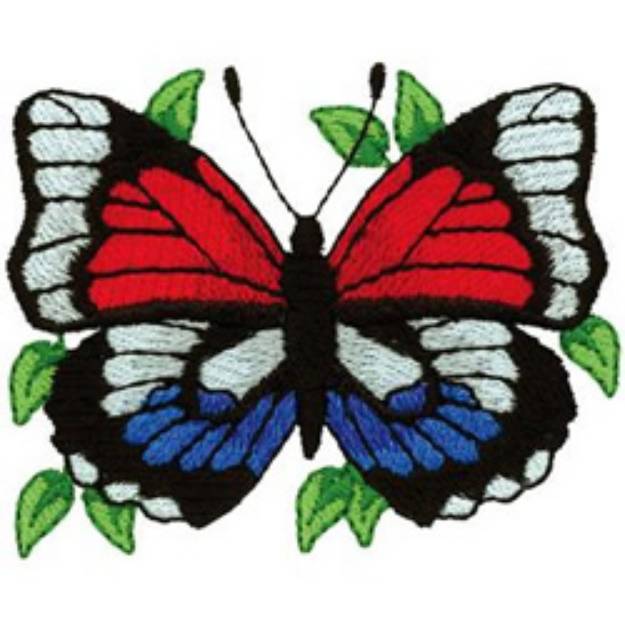 Picture of Agrias Butterfly Machine Embroidery Design