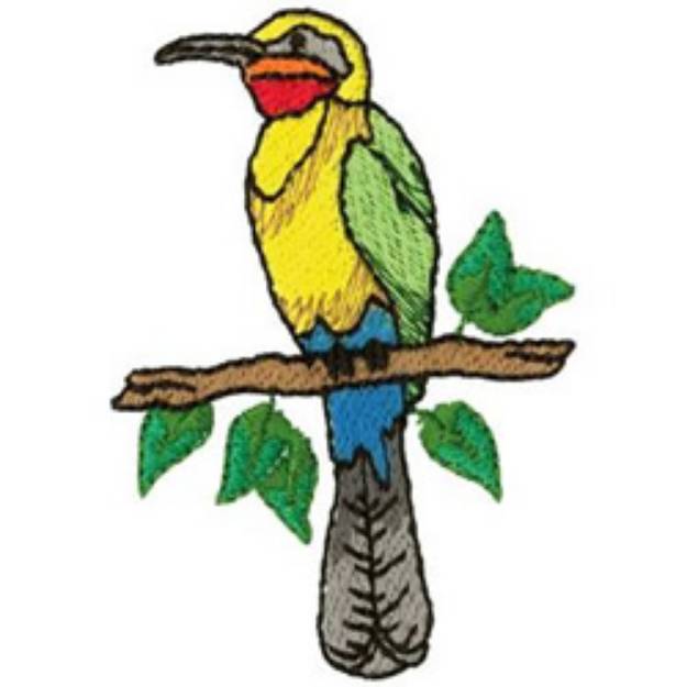 Picture of White Fronted Bee Eater Machine Embroidery Design
