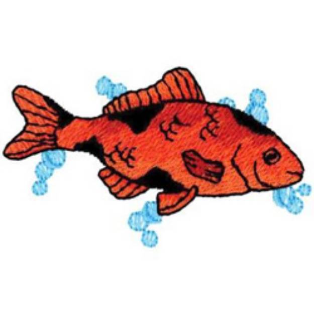 Picture of Gold Fish Machine Embroidery Design