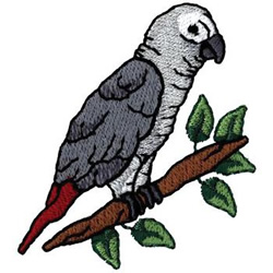 African Grey Machine Embroidery Design
