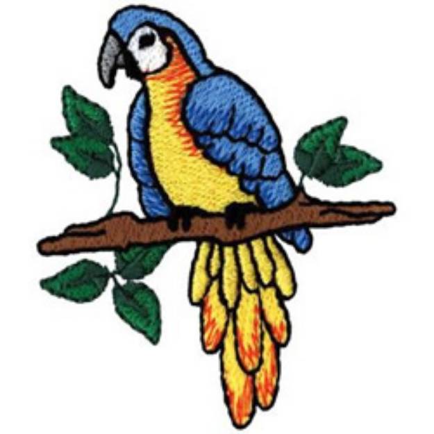 Picture of Macaw Machine Embroidery Design