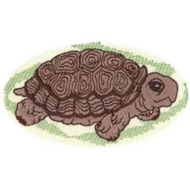 Picture of Spur Thighed Tortoise Machine Embroidery Design
