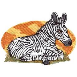 Grevys Zebra Machine Embroidery Design