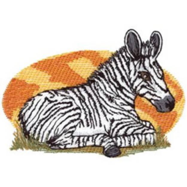 Picture of Grevys Zebra Machine Embroidery Design