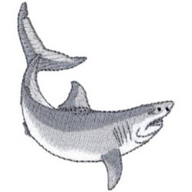 Picture of Great White Shark Machine Embroidery Design