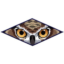 Owl Eyes Machine Embroidery Design
