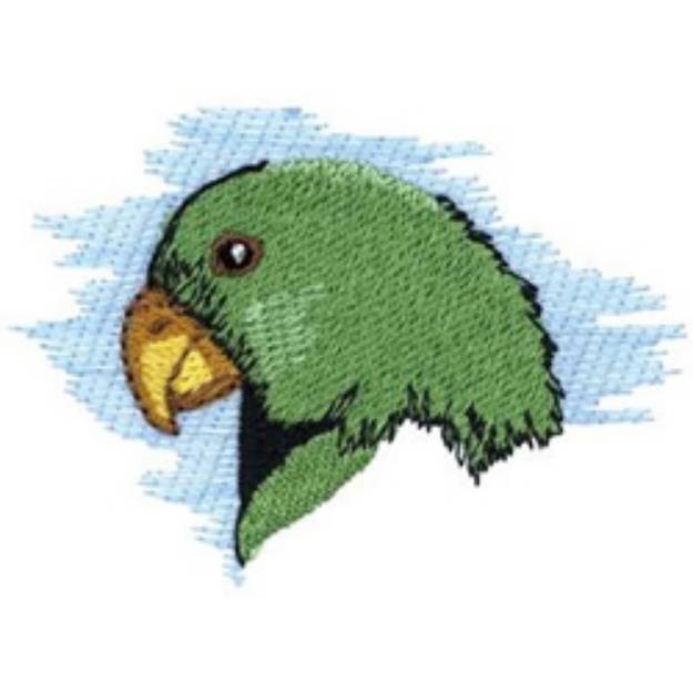 Picture of Eclectus Parrot Machine Embroidery Design