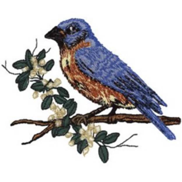 Picture of Eastern Bluebird Machine Embroidery Design