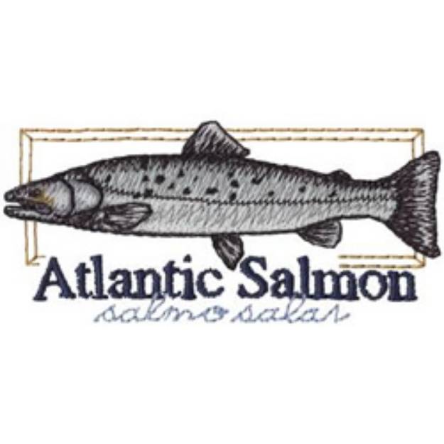 Picture of Atlantic Salmon Machine Embroidery Design