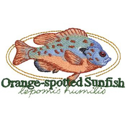 Orange Spotted Sunfish Machine Embroidery Design